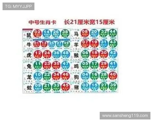 澳门十二生肖开奖结果最新揭晓时刻 澳门十二生肖开奖结果最新揭晓时刻